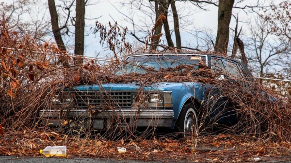 Подсказали, как правильно оставить автомобиль на длительную стоянку