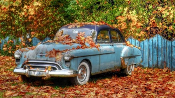 Подсказали, как правильно оставить автомобиль на длительную стоянку