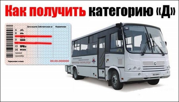 Какие машины можно водить если есть категория D
