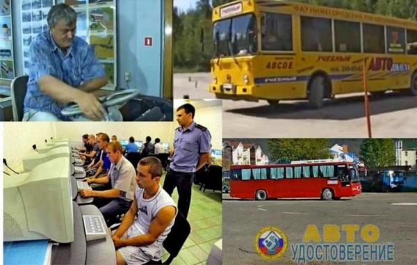 Какие машины можно водить если есть категория D