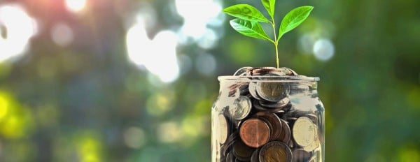 Госдума решила расширить систему страхования вкладов