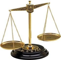 На машину упало дерево, обращение за компенсацией