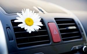 Чистка и дезинфекция системы кондиционирования автомобиля