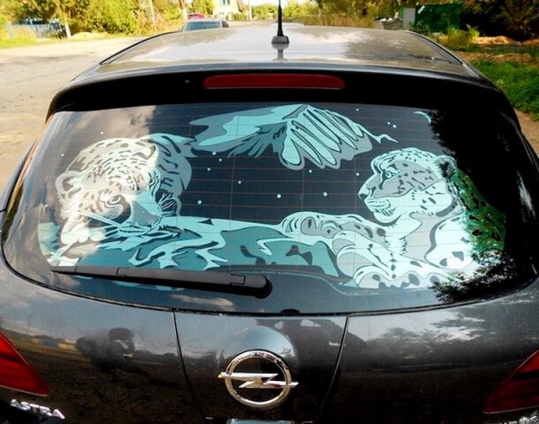 Разновидности тонировочных пленок для автомобиля