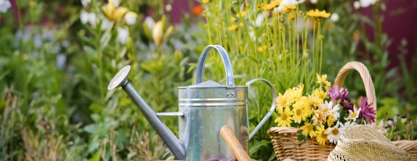 В России снизилось число дачных краж