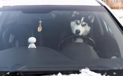 5 советов, которые пригодятся водителям зимой