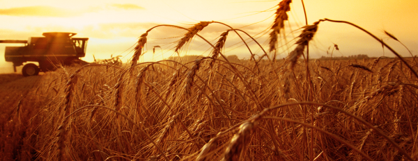 Аграрии получат возможность заключать доступные страховые договоры на случай ЧС