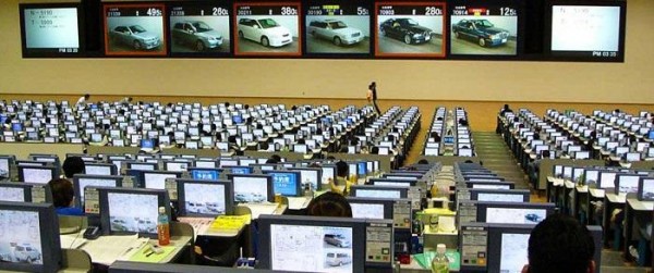 Расшифровка аукционного листа