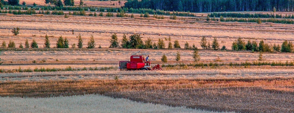 Изменения в закон об агростраховании могут рассматривать во время весенней сессии
