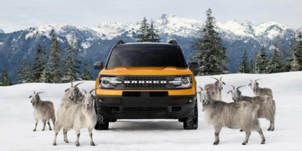 В рекламе Bronco Sport с системой G.O.A.T. снялись реальные goat