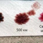 Техобслуживание автомобиля: как выполняется и особенности проведения ТО