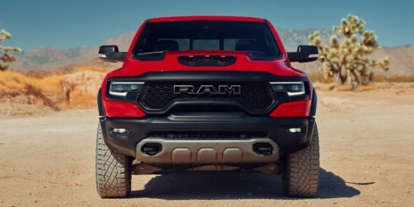 TRX превратился в домашнего &laquo;Мамонта&raquo;