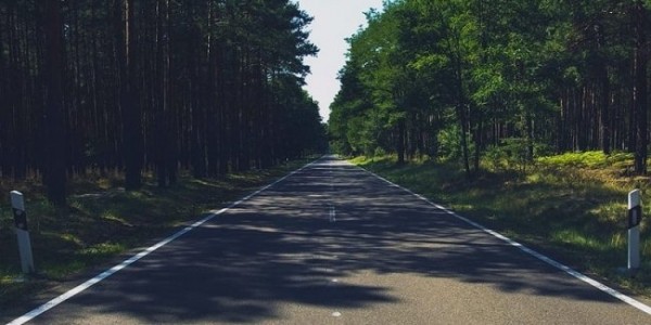 Укравтодор планирует развивать сеть лесных дорог: Отремонтированные дороги на Луганщине помогли пожарным быстрее попадать к местам лесных пожаров