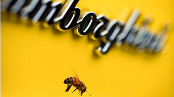 На заводе Lamborghini занялись пчеловодством