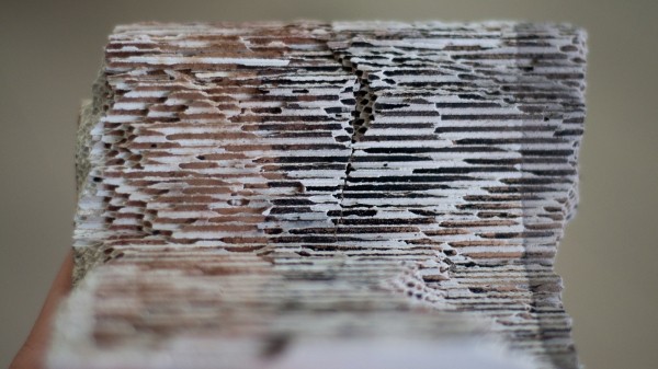 Почему вырезать сажевый фильтр &ndash; плохая идея и как продлить ему жизнь?