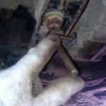 Коробка робот Powershift или DSG: что лучше