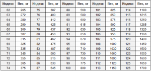 Скоростной индекс шин: что значит индекс скорости шин и нагрузки шины