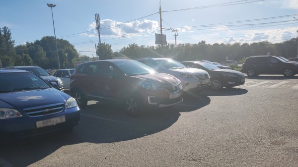 В РФ появится новый способ проверить автомобиль перед покупкой