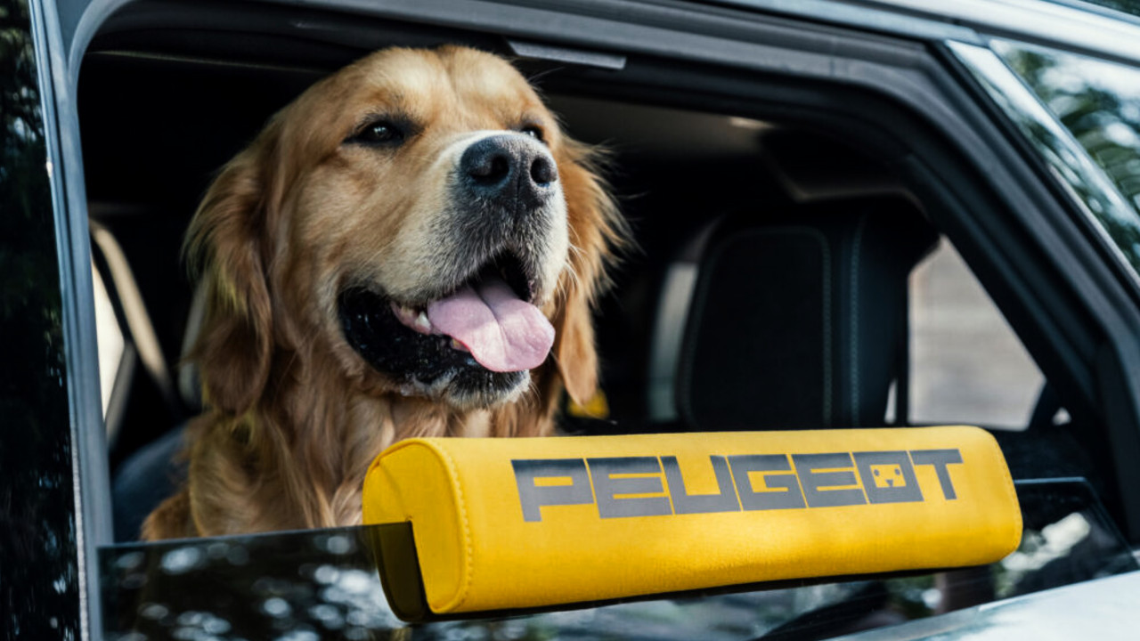 Иллюстрация 101auto.ru: Peugeot E-5008 Dog Edition показал, каким может быть автомобиль для поездок с собакой